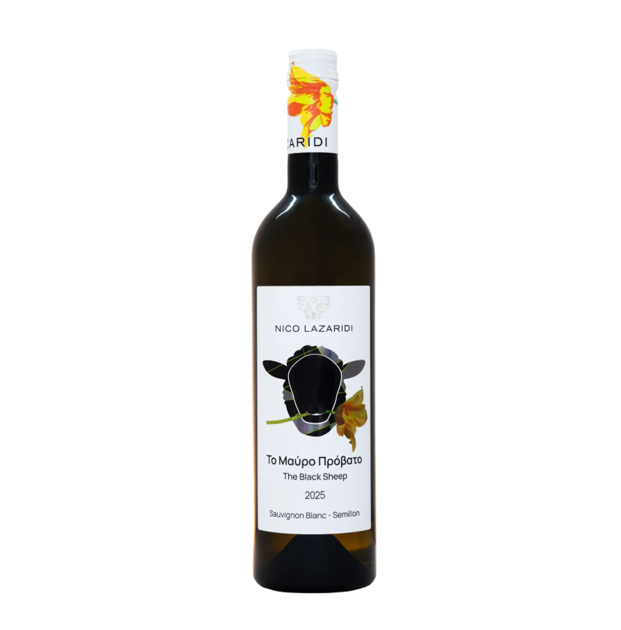 Στιγμιότυπο οθόνης 2026-04-03 135657